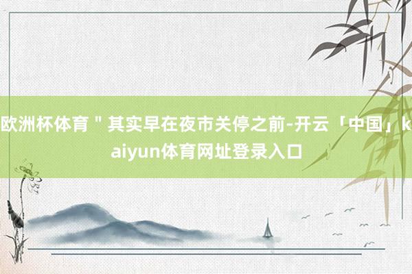 欧洲杯体育＂其实早在夜市关停之前-开云「中国」kaiyun体育网址登录入口