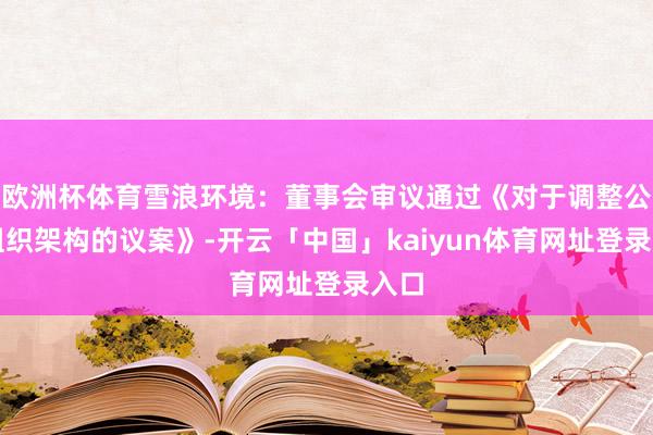 欧洲杯体育雪浪环境：董事会审议通过《对于调整公司组织架构的议案》-开云「中国」kaiyun体育网址登录入口