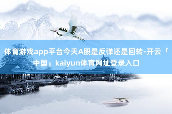 体育游戏app平台今天A股是反弹还是回转-开云「中国」kaiyun体育网址登录入口