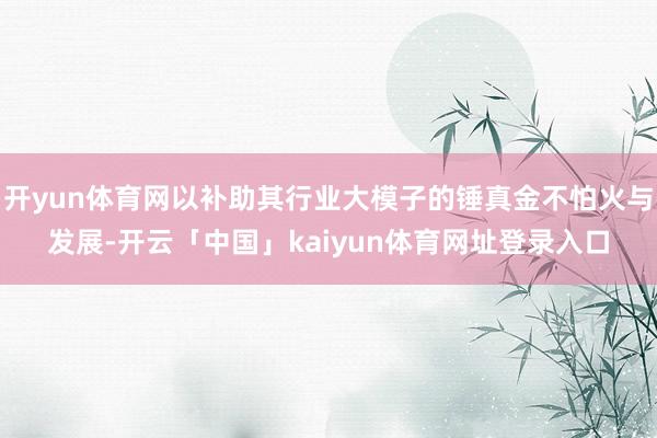 开yun体育网以补助其行业大模子的锤真金不怕火与发展-开云「中国」kaiyun体育网址登录入口