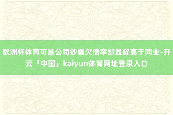 欧洲杯体育可是公司钞票欠债率却显耀高于同业-开云「中国」kaiyun体育网址登录入口