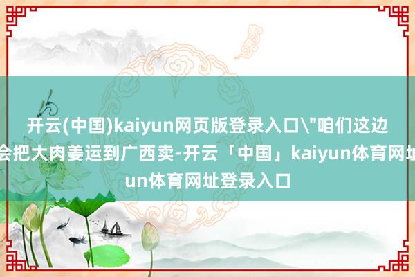 开云(中国)kaiyun网页版登录入口
