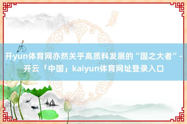 开yun体育网亦然关乎高质料发展的“国之大者”-开云「中国」kaiyun体育网址登录入口